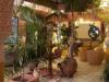 Riad Etoile du Sud : Riad Marrakech Hotel Marrakech Tourisme Maroc
