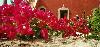 Hotel Riad Villa Clmentina Riad Essaouira Tourisme Maroc