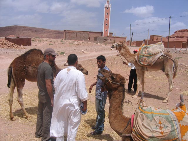 Villa DoGa et l'espace bien &ecirc;tre Hotel Taroudant Riad Taroudant :  services pour entreprises