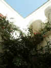 Vue du Patio