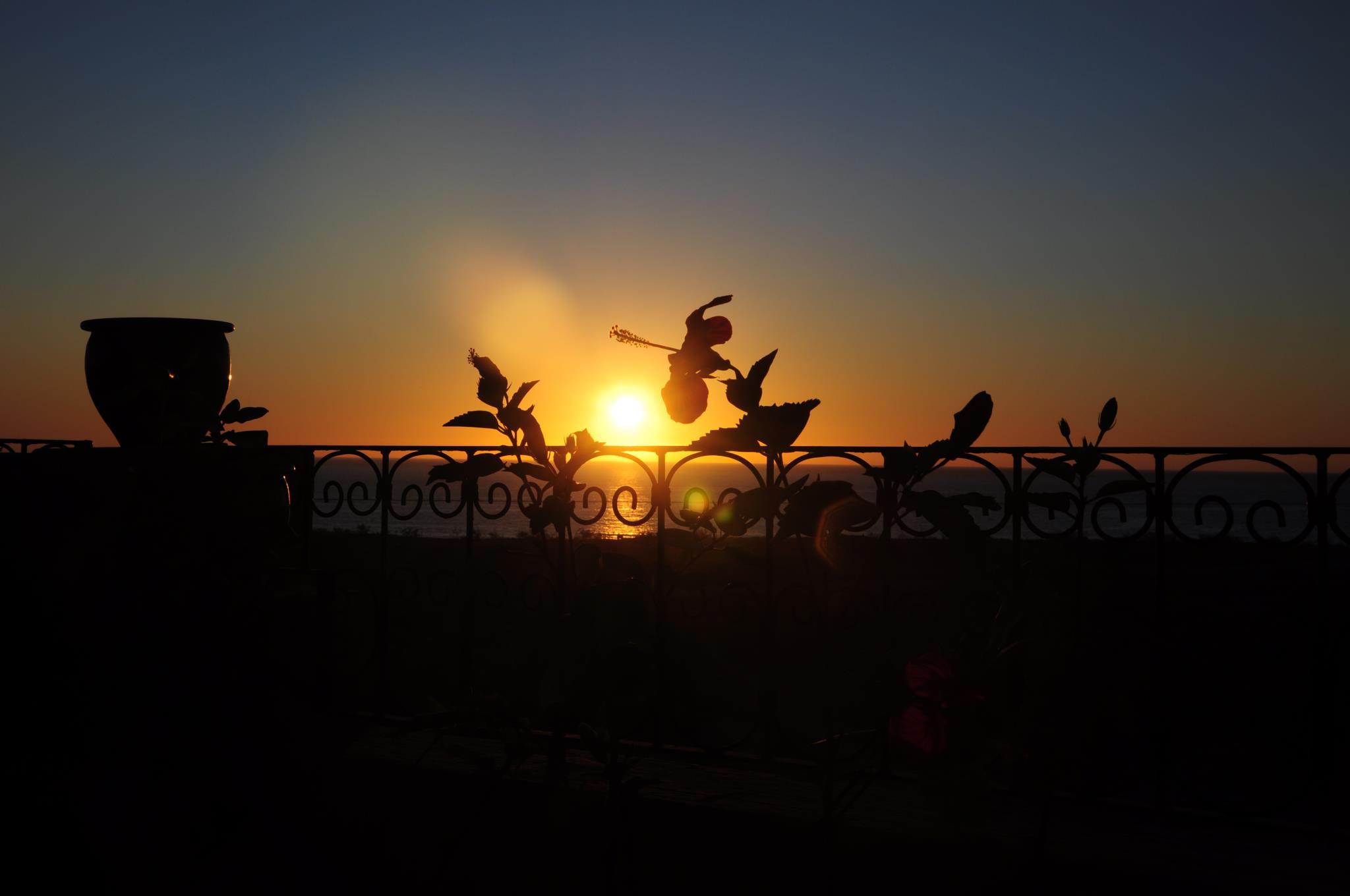 Auberge Villa Azur Hotel Agadir Riad Agadir :  services pour Handicaps
