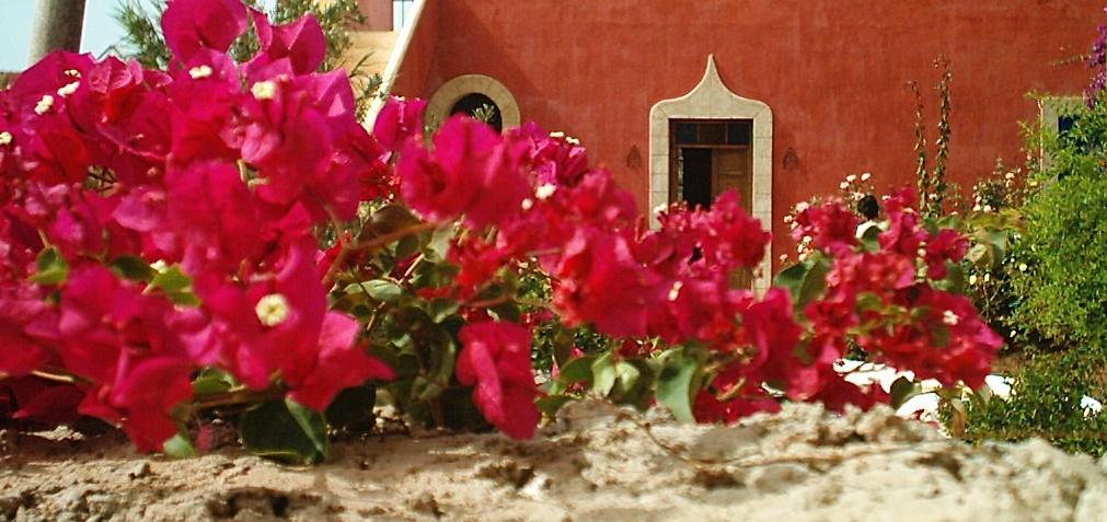 Villa Clémentina Hotel Essaouira Riad Essaouira : Images et Photos 